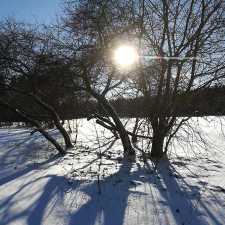 Fahrenbach-Alm Lägenhet Tröstau Exteriör bild