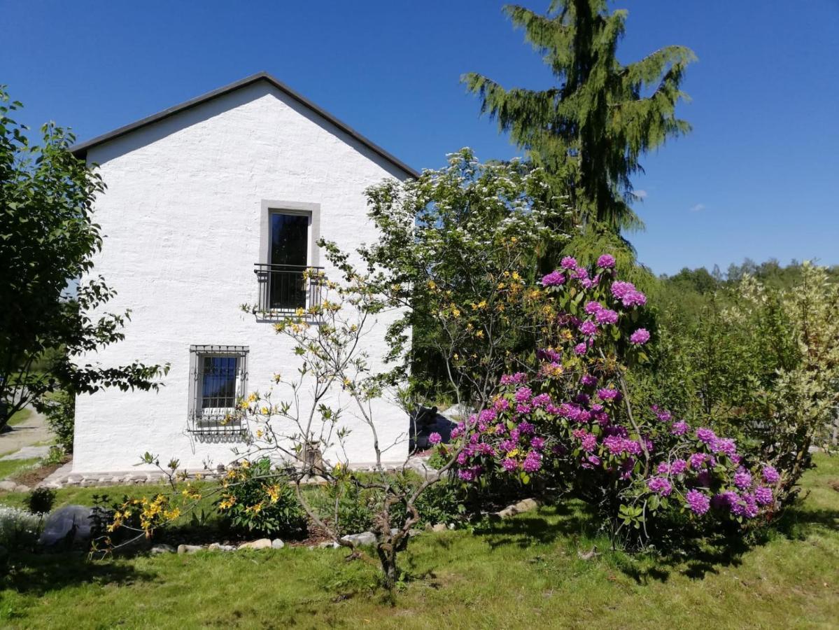 Fahrenbach-Alm Lägenhet Tröstau Exteriör bild