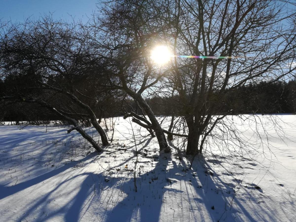 Fahrenbach-Alm Lägenhet Tröstau Exteriör bild