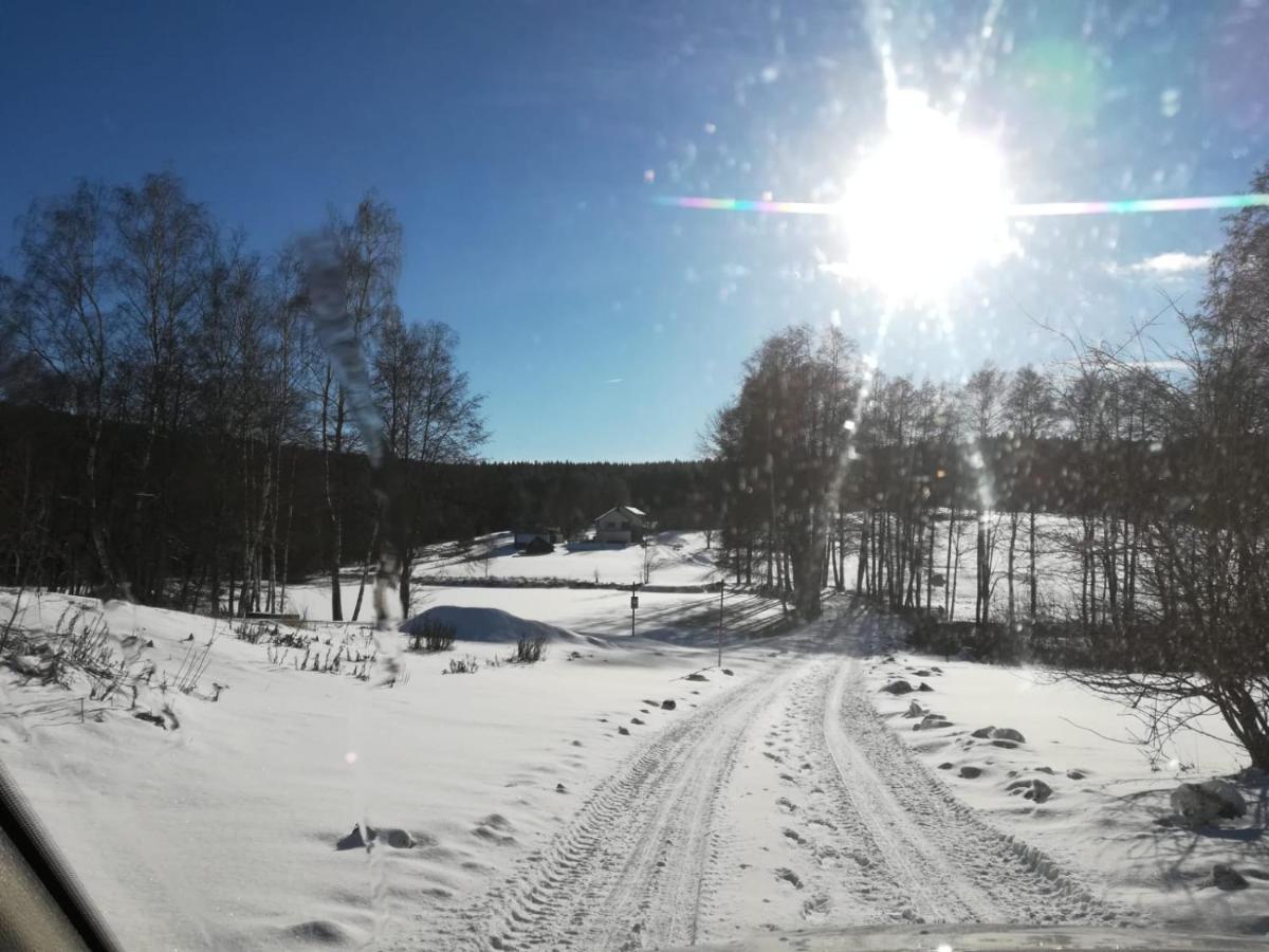Fahrenbach-Alm Lägenhet Tröstau Exteriör bild