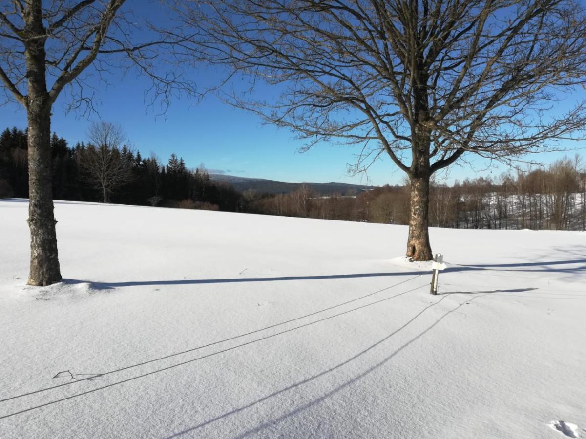 Fahrenbach-Alm Lägenhet Tröstau Exteriör bild